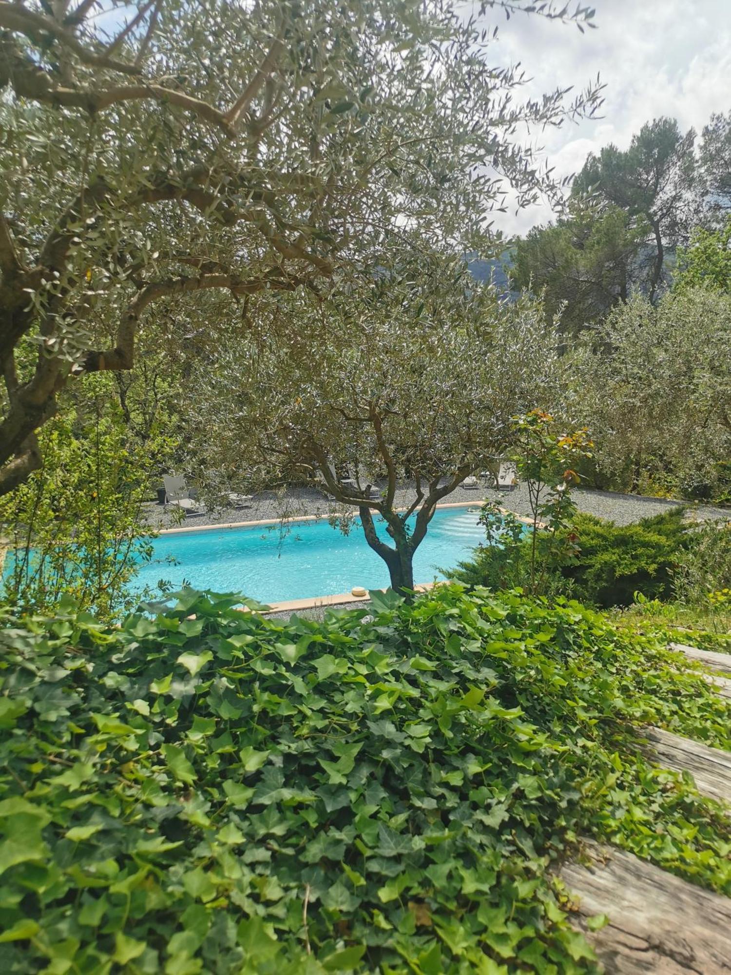 Bed and Breakfast Bastide Saint Bernard Le Thoronet Exteriér fotografie